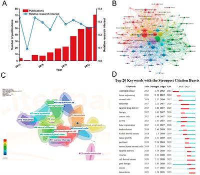 Research hotspots and trends of mesenchymal stem cell-derived extracellular vesicles for drug delivery: a bibliometric and visualization analysis from 2013 to 2023